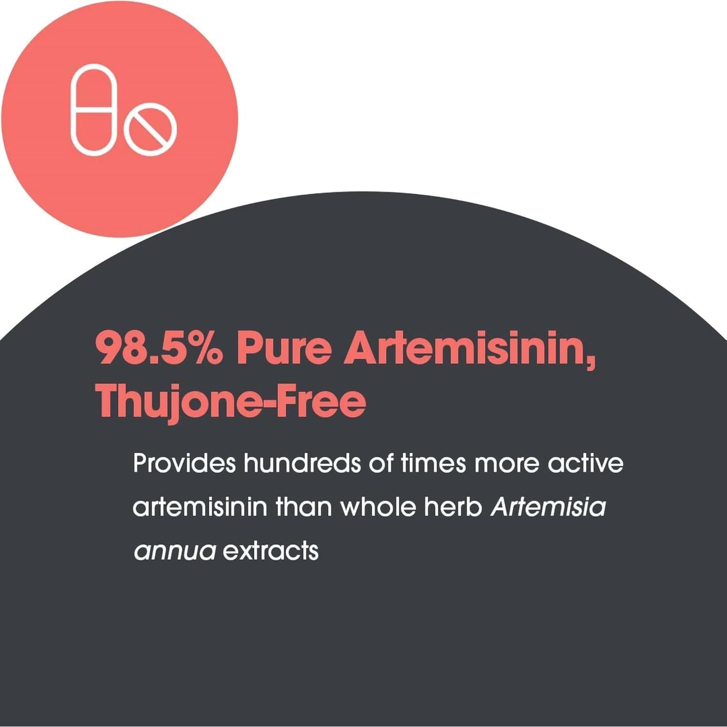 Allergy Research Group Artemisinin Supplement - GI Tract Support 90 Count