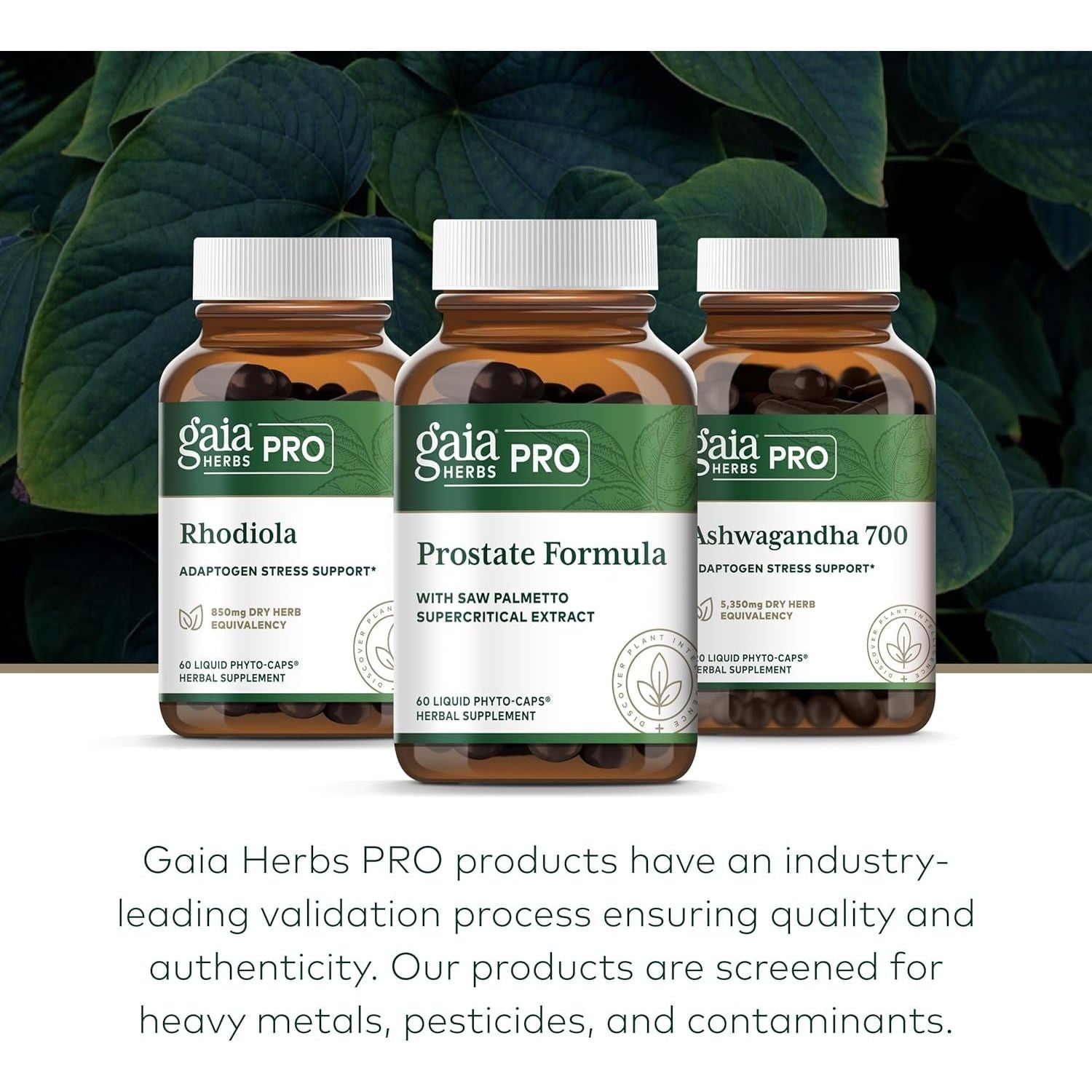 Gaia Herbs Pro Prostate Support - with Saw Palmetto, Stinging Nettle & More - 60 Vegan Liquid Phyto-Capsules