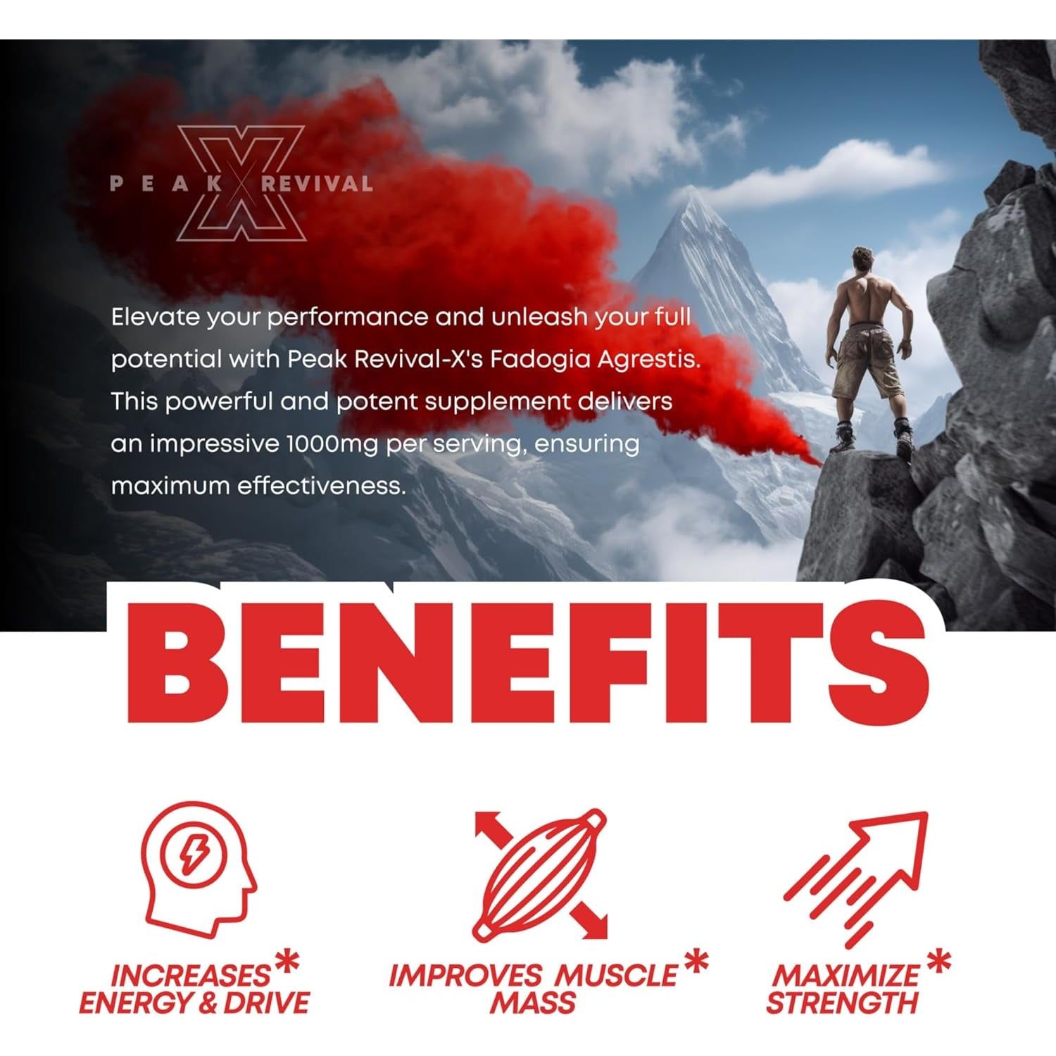 Fadogia Agrestis 1000Mg per Serving Supplement to Increase Energy, Athletic Performance & Muscle Mass (60 Capsules)