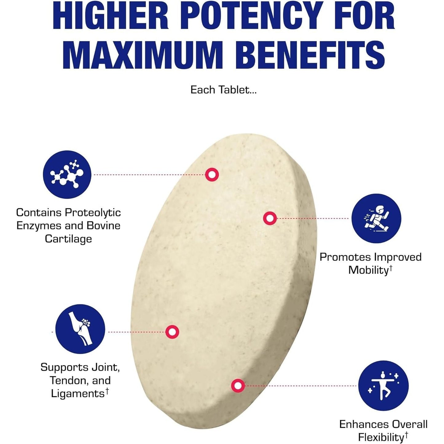 Cartilage Ligament and Tendon Supplement for Enhanced Comfort &  Mobility Zymain 90 Support