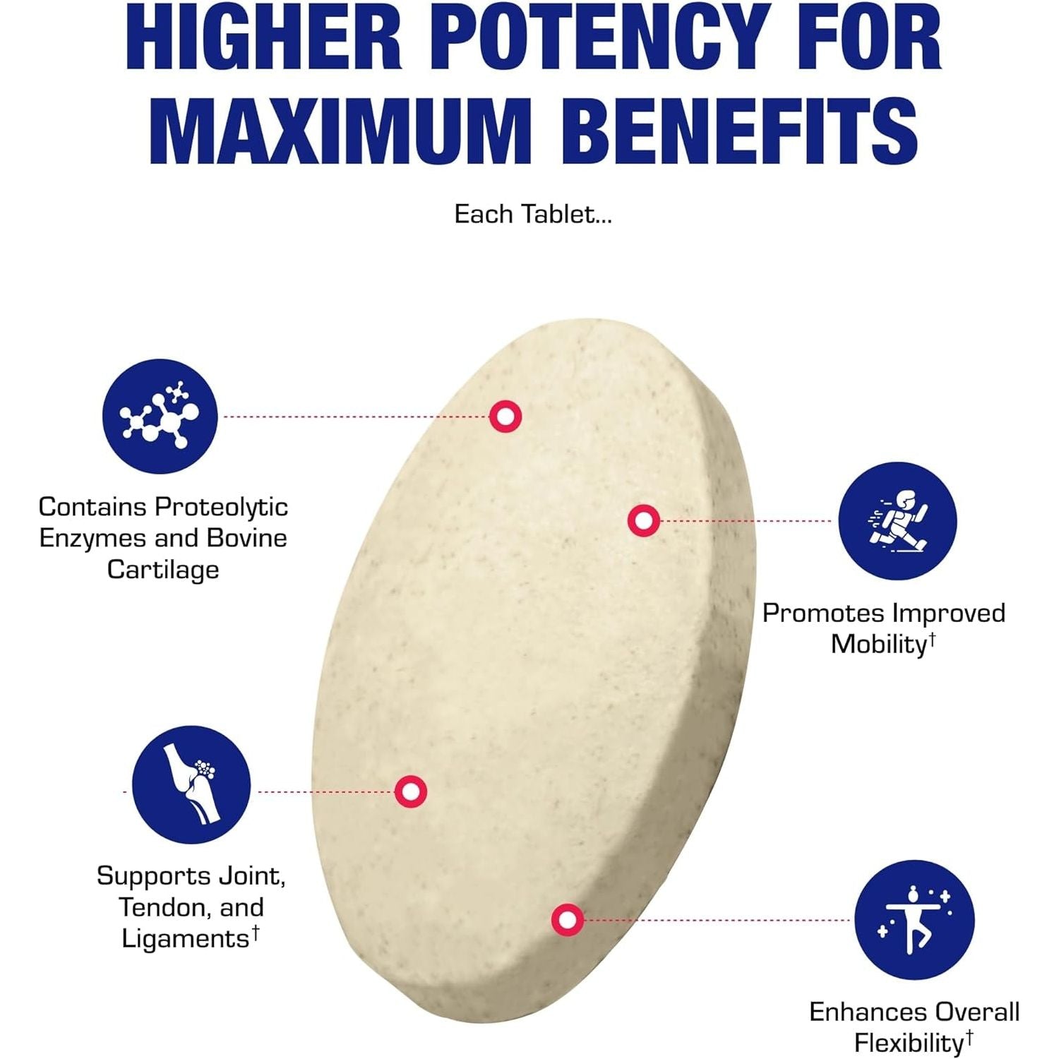 Cartilage Ligament and Tendon Supplement for Enhanced Comfort &  Mobility Zymain 90 Support