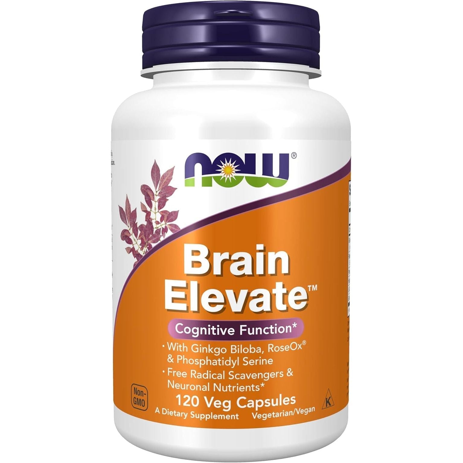 NOW Foods Supplements, Brain Elevate™, Featuring Ginkgo Biloba, Roseox® and Phosphatidyl Serine, 120 Veg Capsules
