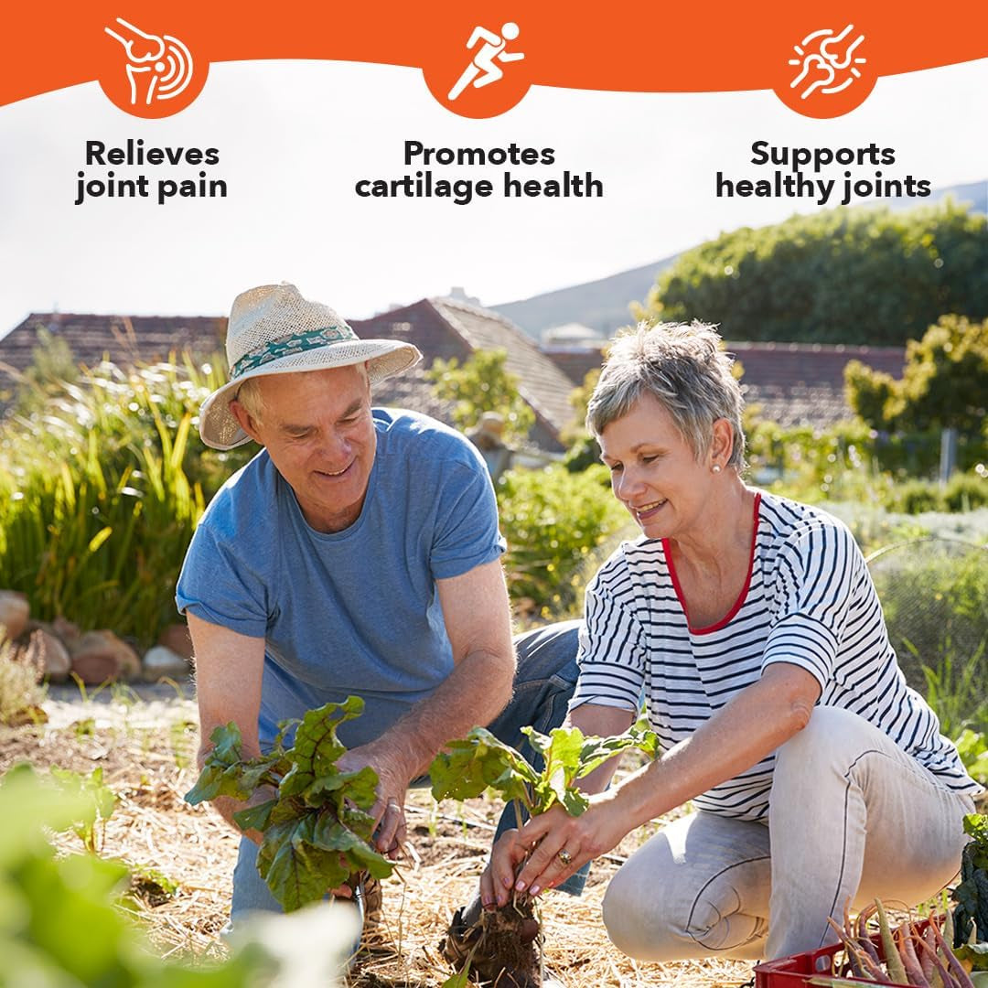 Lifeseasons Mobili-T - Joint Support Supplement - Glucosamine Chondroitin MSM Collagen Bromelain & Turmeric - 120 Capsules