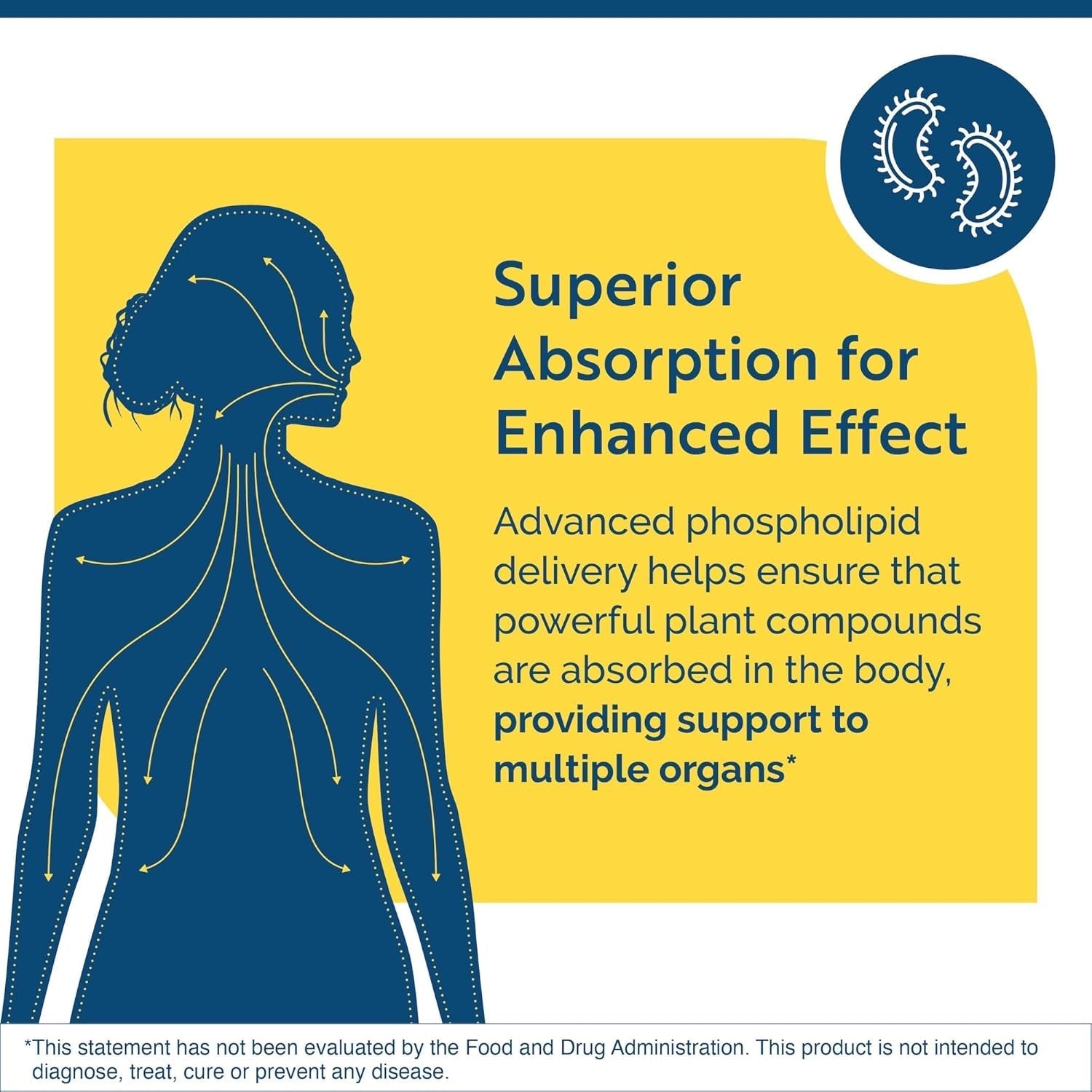 Researched Nutritionals Crypto-Plus - Targeted Microbial & Immune Support Formula (4 Fl Oz)