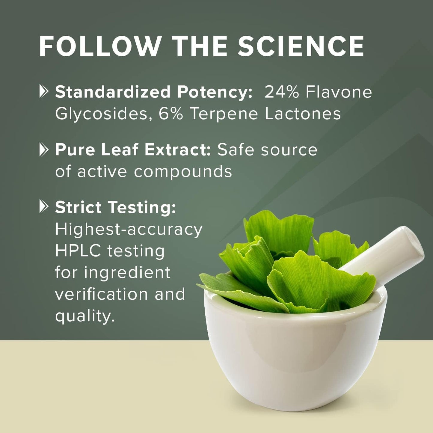 Prominent Nutrition Ginkgo Biloba 120Mg to Help Support Memory & Focus 60 Day Supply