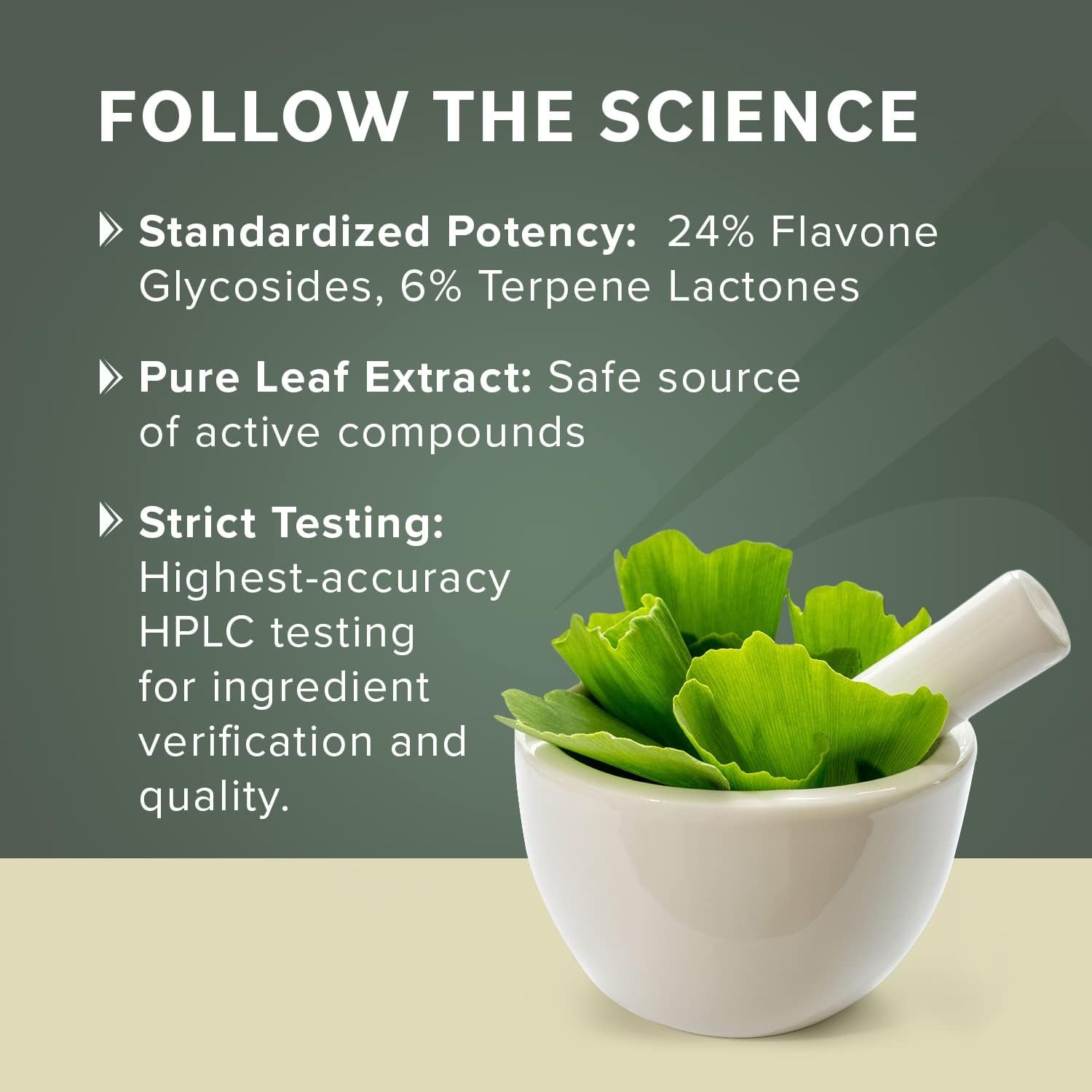 Prominent Nutrition Ginkgo Biloba 120Mg to Help Support Memory & Focus 60 Day Supply