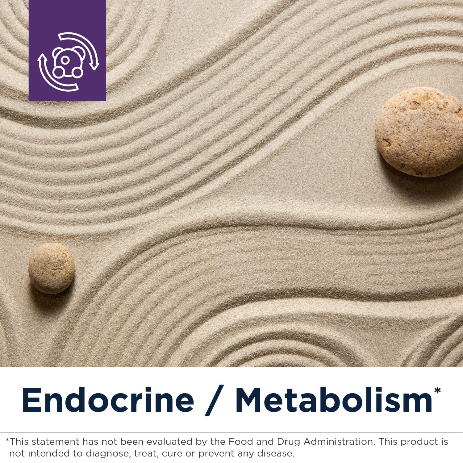 Designs for Health Metabolic Synergy - Multivitamin and Mineral Supplement (360 Capsules)