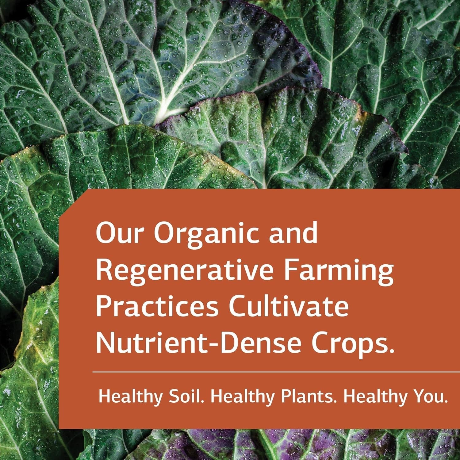 Standard Process Ligaplex II - Manganese Supplement with Vitamin B12, a & D - Skeletal System & Joint Support Supplement - 150 Capsules