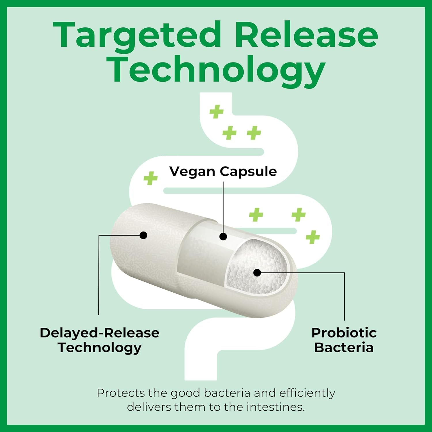 Bio K+ Advanced Bowel Support – Vegan Probiotic Supplement for Digestion Support 50 Billion CFU 3 Strains – 20 Capsules