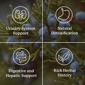 Nature'S Sunshine Kidney Activator Capsules, to Support and Enhance Kidney Function and Urine Flow 100 Capsules