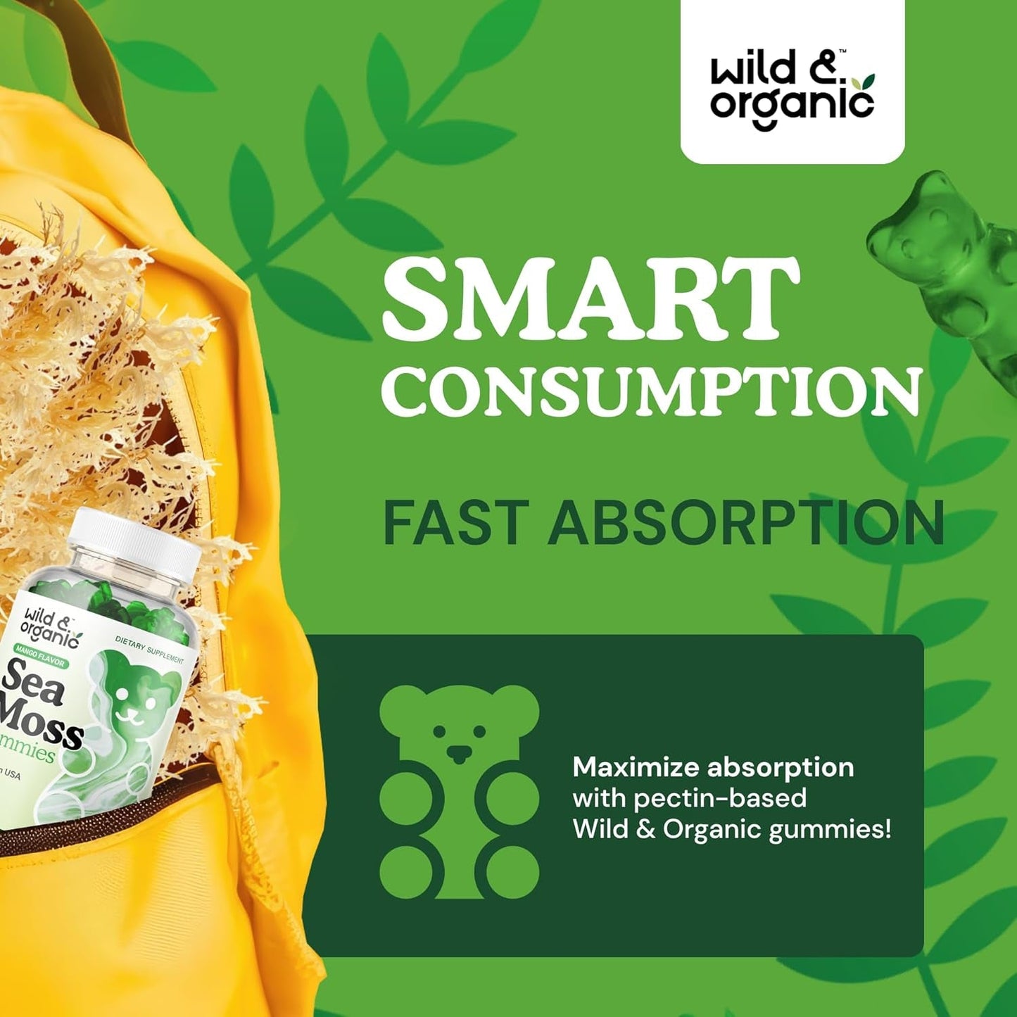 Wild & Organic Irish Sea Moss Gummies 1600 Mg for Overall Support - Chondrus Crispus - 90 Vegan