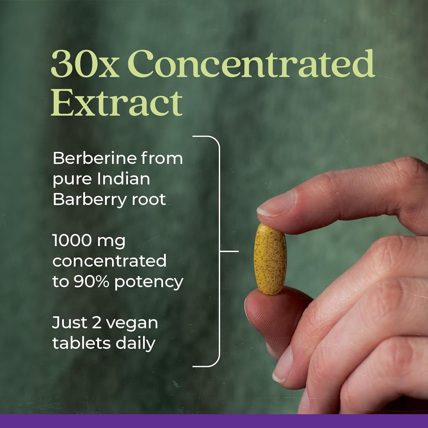 New Chapter Berberine Supplement 1000 Mg to Support Metabolic Health + Heart Health + Glucose Support, 60 Count