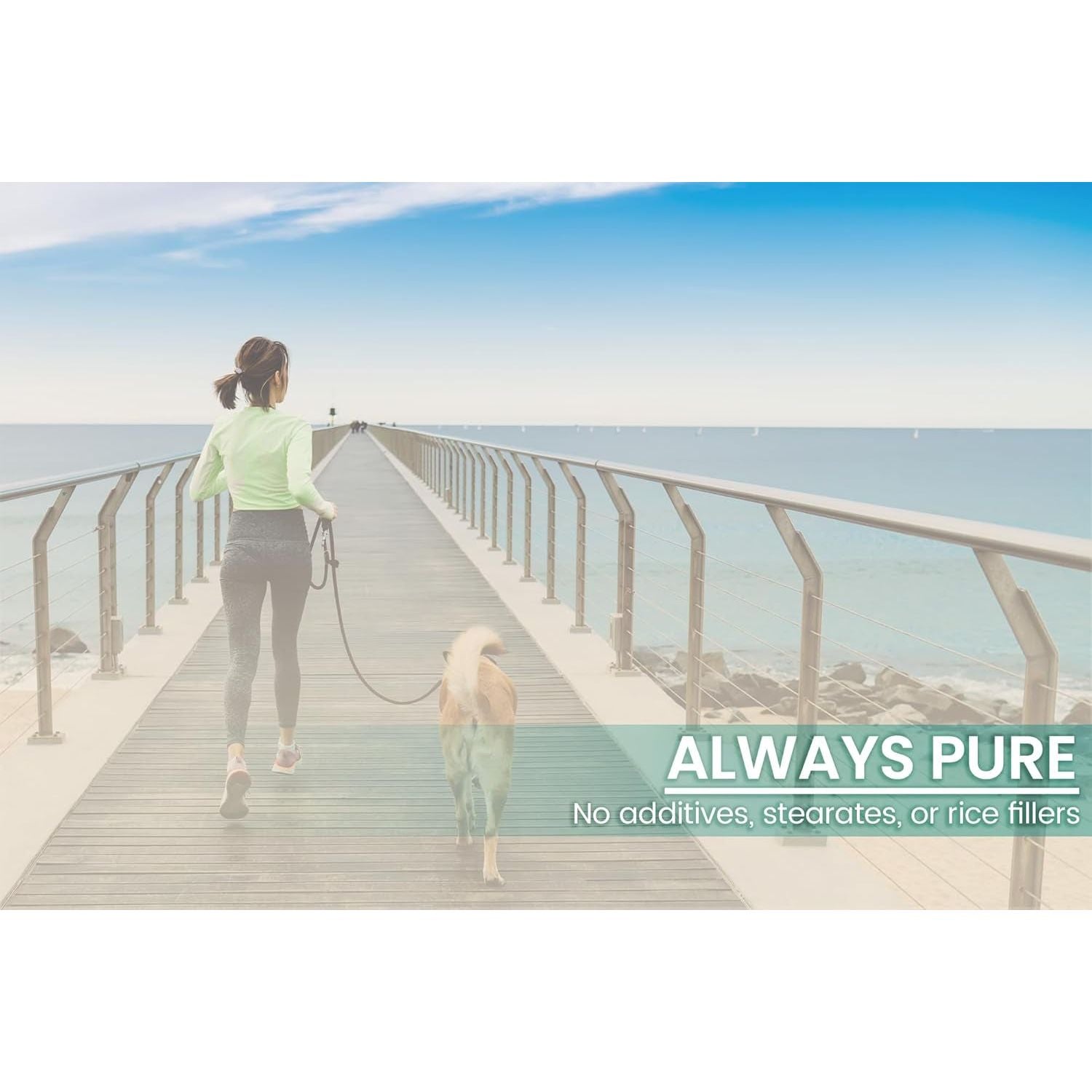 PURE ORIGINAL INGREDIENTS Betaine HCL, (100 Capsules)