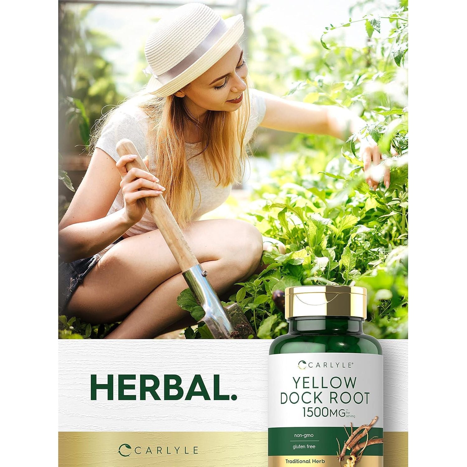 Carlyle Yellow Dock Root Capsules 1500Mg | 200 Count