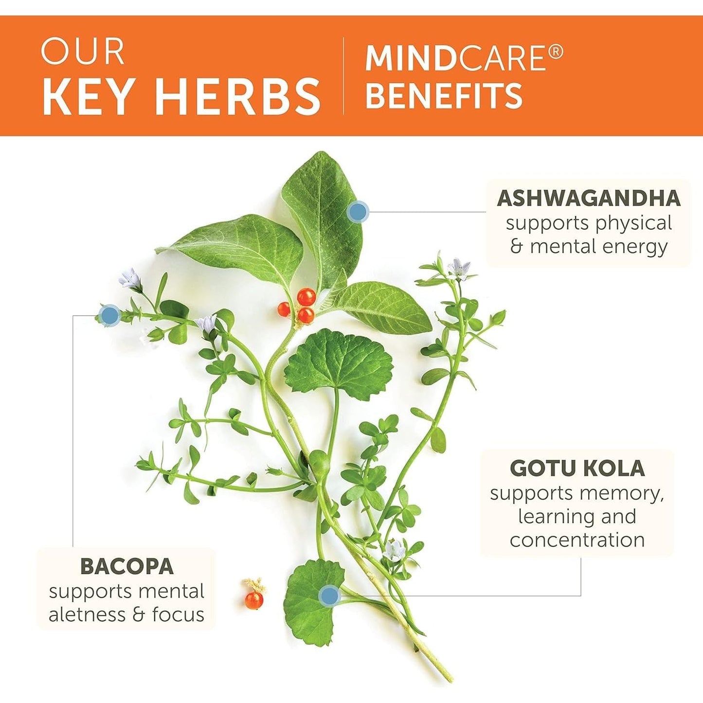 Himalaya Mindcare, Nootropic Brain Supplement Booster 1170 Mg, 120 Capsules