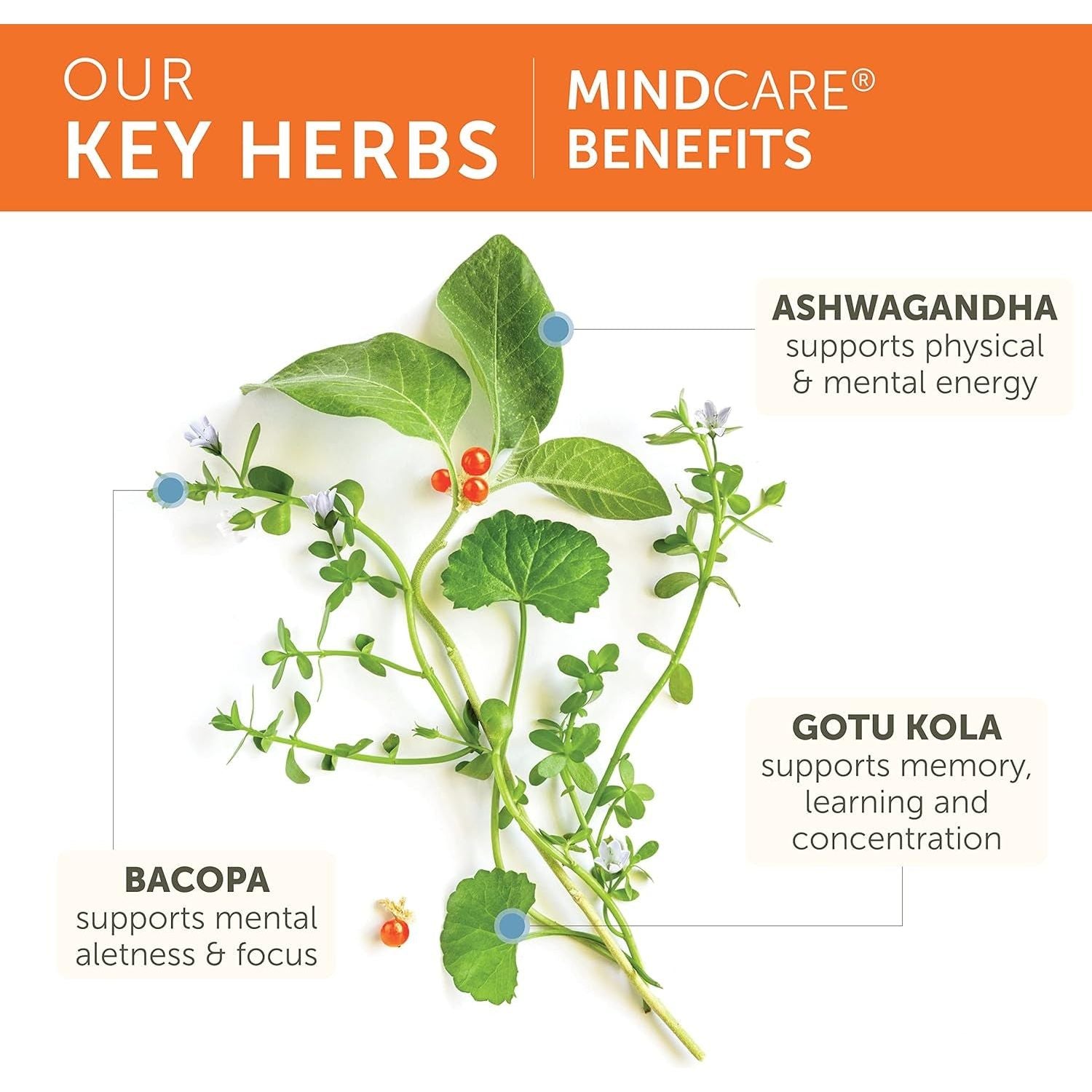 Himalaya Mindcare, Nootropic Brain Supplement Booster 1170 Mg, 120 Capsules