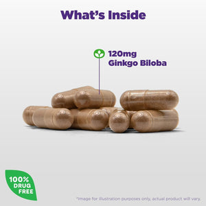 Natrol Brain Health Ginkgo Biloba 120Mg, for Brain Health and Memory Support, 60 Capsules