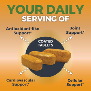 Organic Turmeric Supplement 1500 Mg - Turmeric Pills for Joint Support and Cellular Defense 