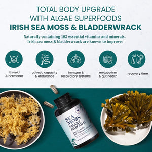 HAPPY FOX Irish Sea Moss Capsules & Mushroom Complex  for Brain Health, 1500Mg, 90 Capsules
