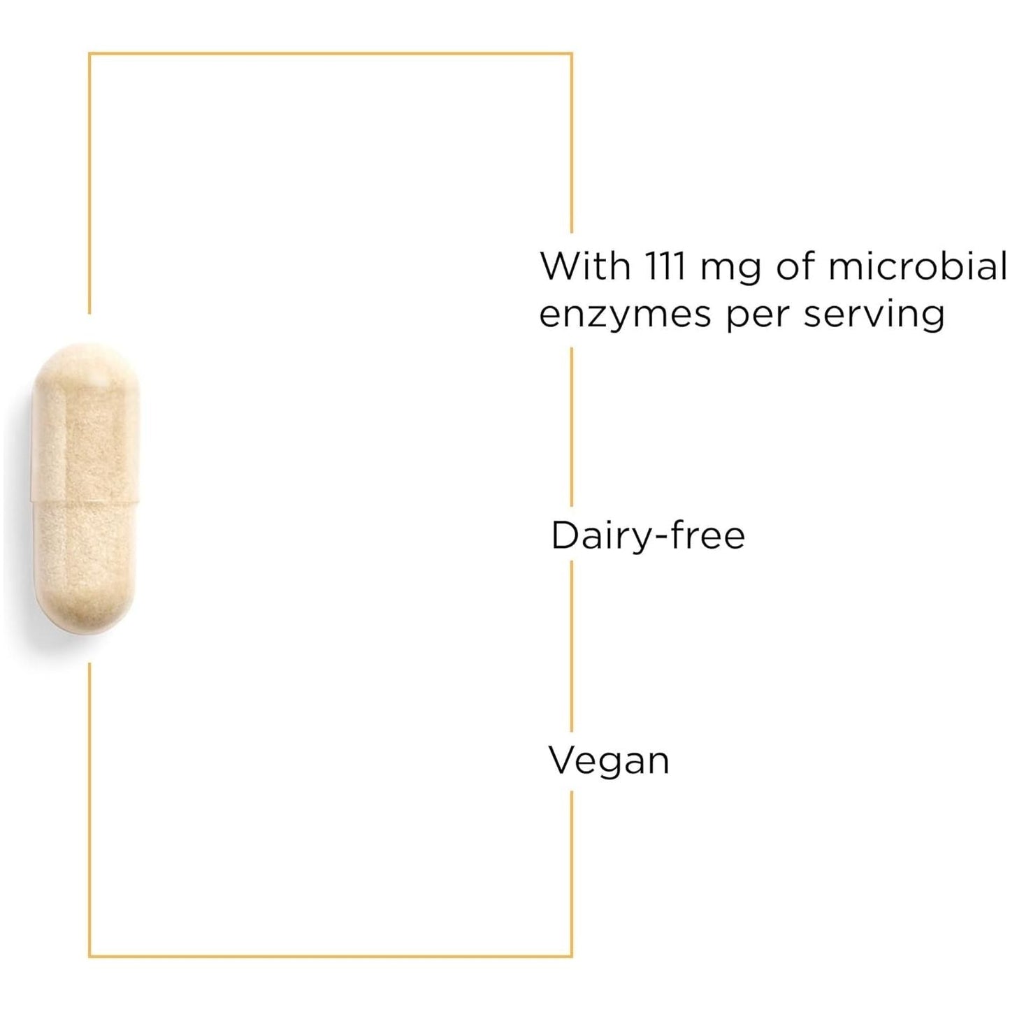 Integrative Therapeutics Lipase Concentrate-Hp-Gut Enzyme Supplement for Men and Women to Support the Digestion of Fats* - 90 Vegan Capsules