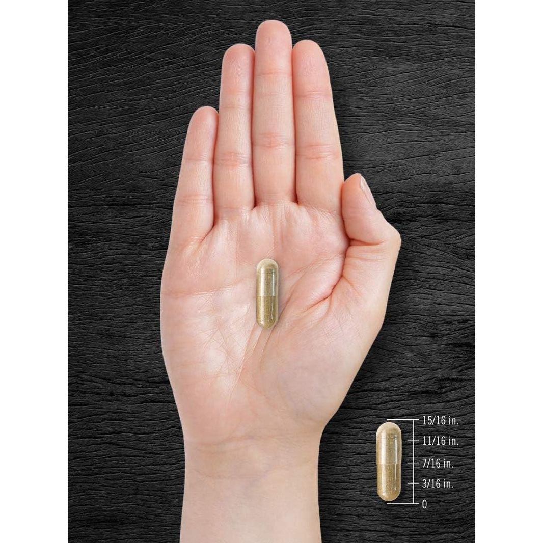 Carlyle Pygeum Africanum Bark | 200 Capsules | High Potency Extract