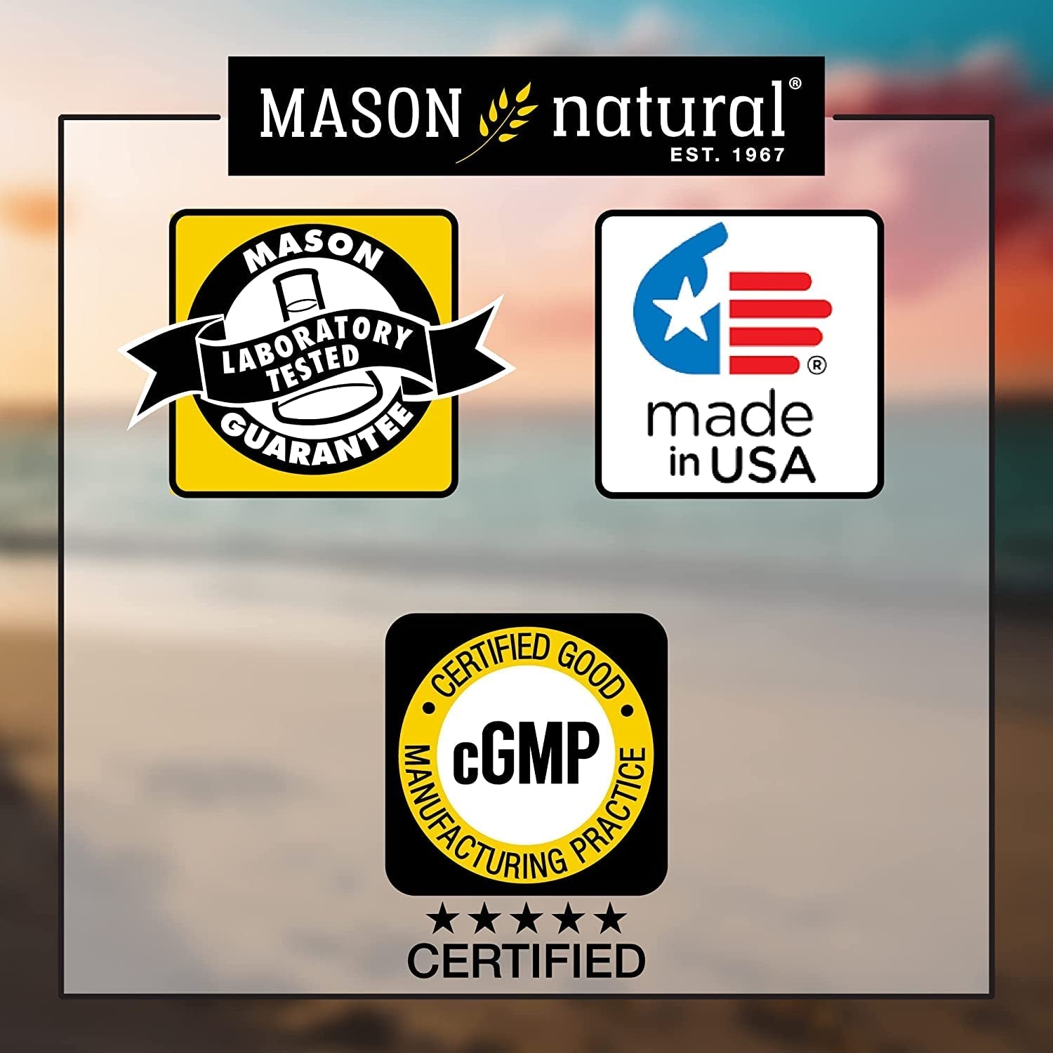 MASON NATURAL Lecithin with Kelp/Vitamin B6 plus Apple Cider Vinegar - Dual Action Formula 100 Softgels