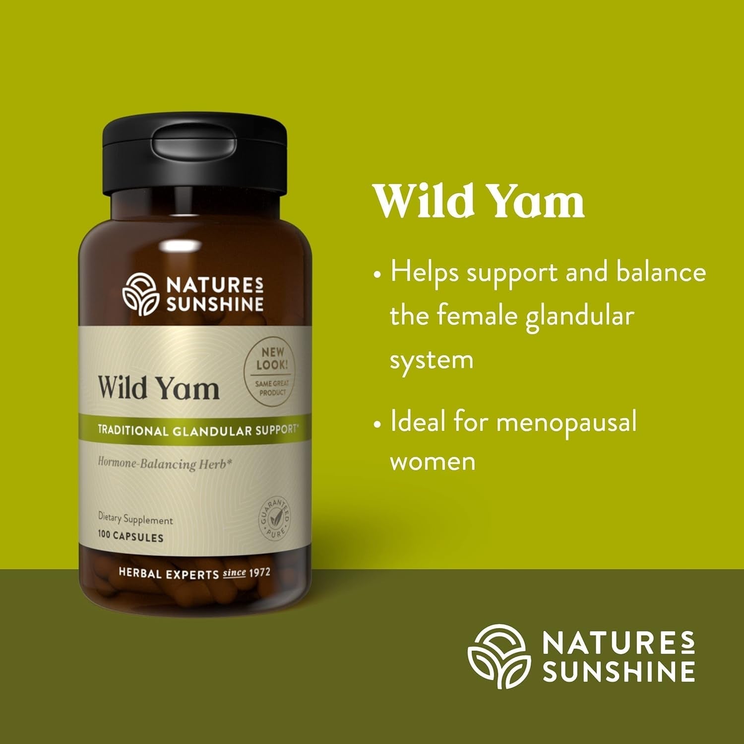 Nature'S Sunshine Wild Yam | Supports and Balances the Female Glandular System 100 Capsules