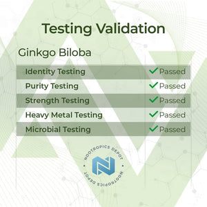 Nootropics Depot Ginkgo Biloba Extract Tablets | 120Mg | 90 Count 