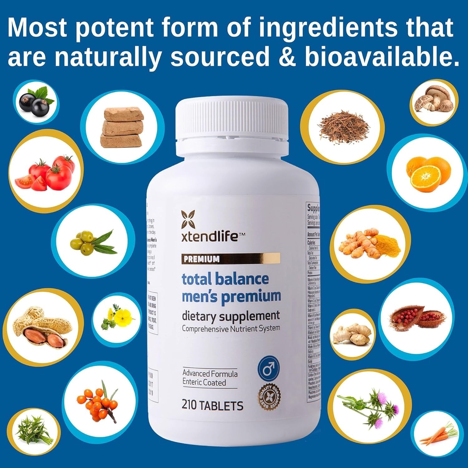 Xtendlife Total Balance Men'S Premium Extra Strength Daily Multivitamin & Mineral - 30 Day Supply