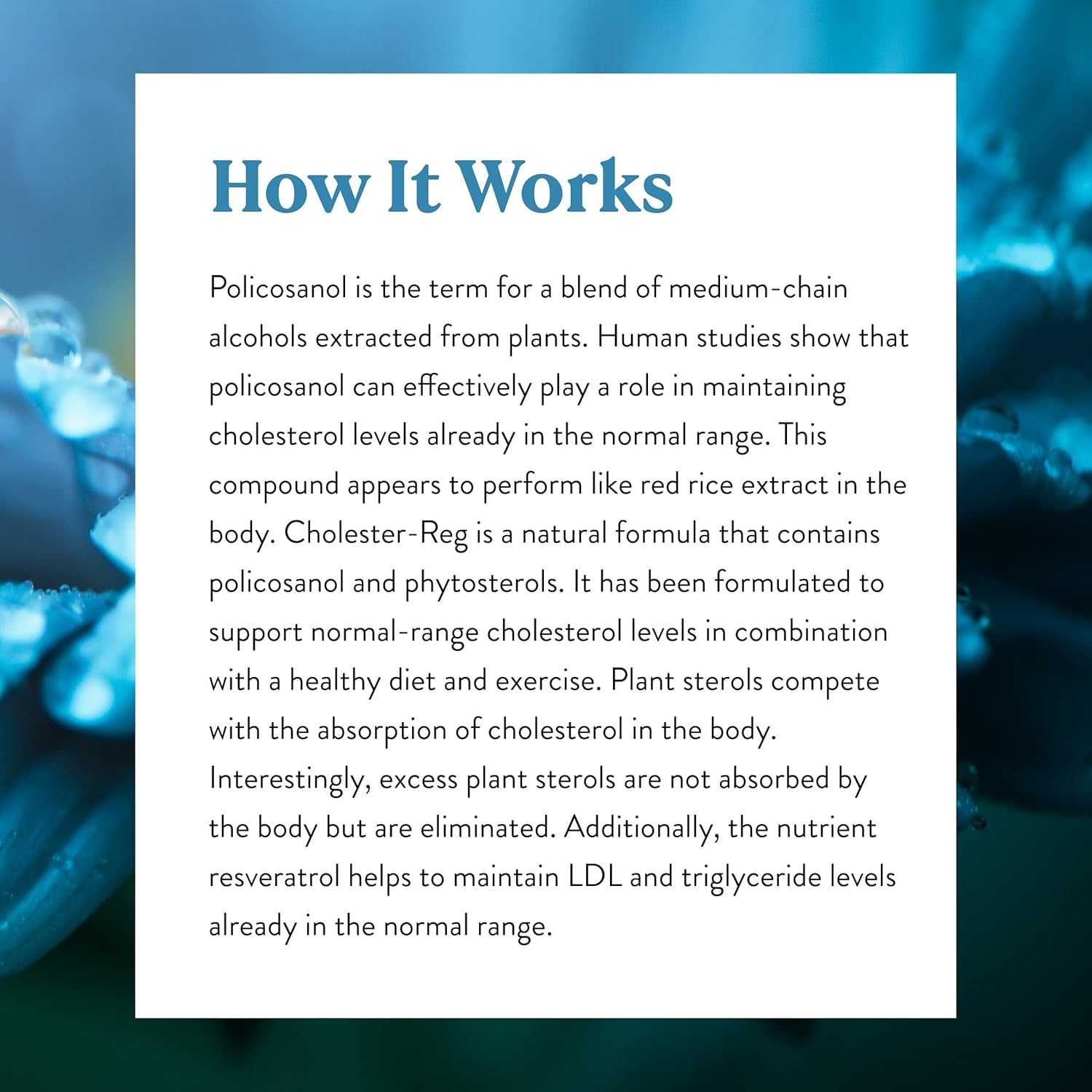 Nature'S Sunshine Cholester-Reg II 90 Capsules