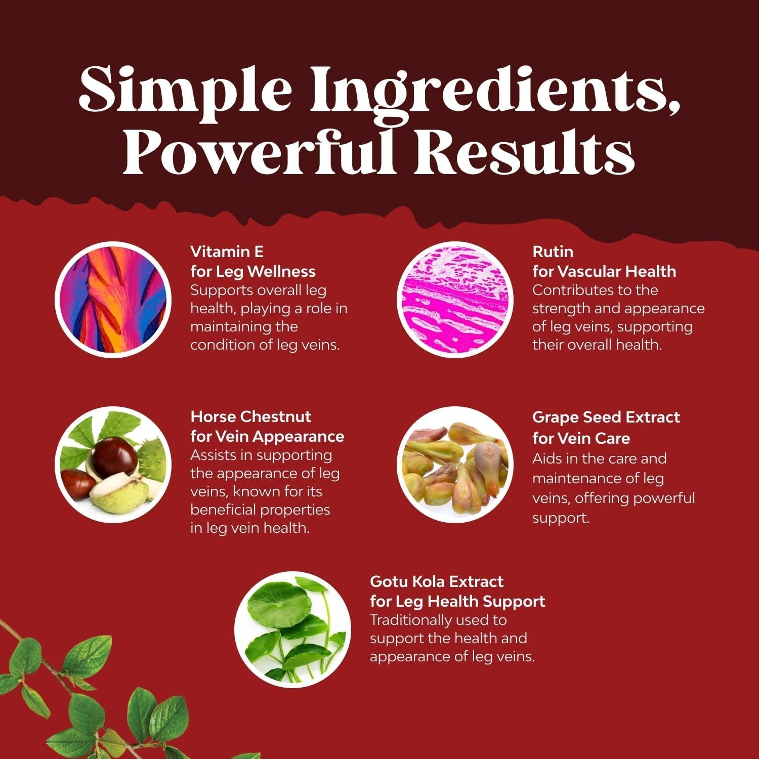 Vein Support Supplements for Spider & Varicose Veins and Improved Flow (1 Month Supply)