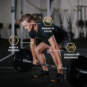 Premium Cistanche Tubulosa Extract 500Mg (120 Capsules) - Natural Nootropic