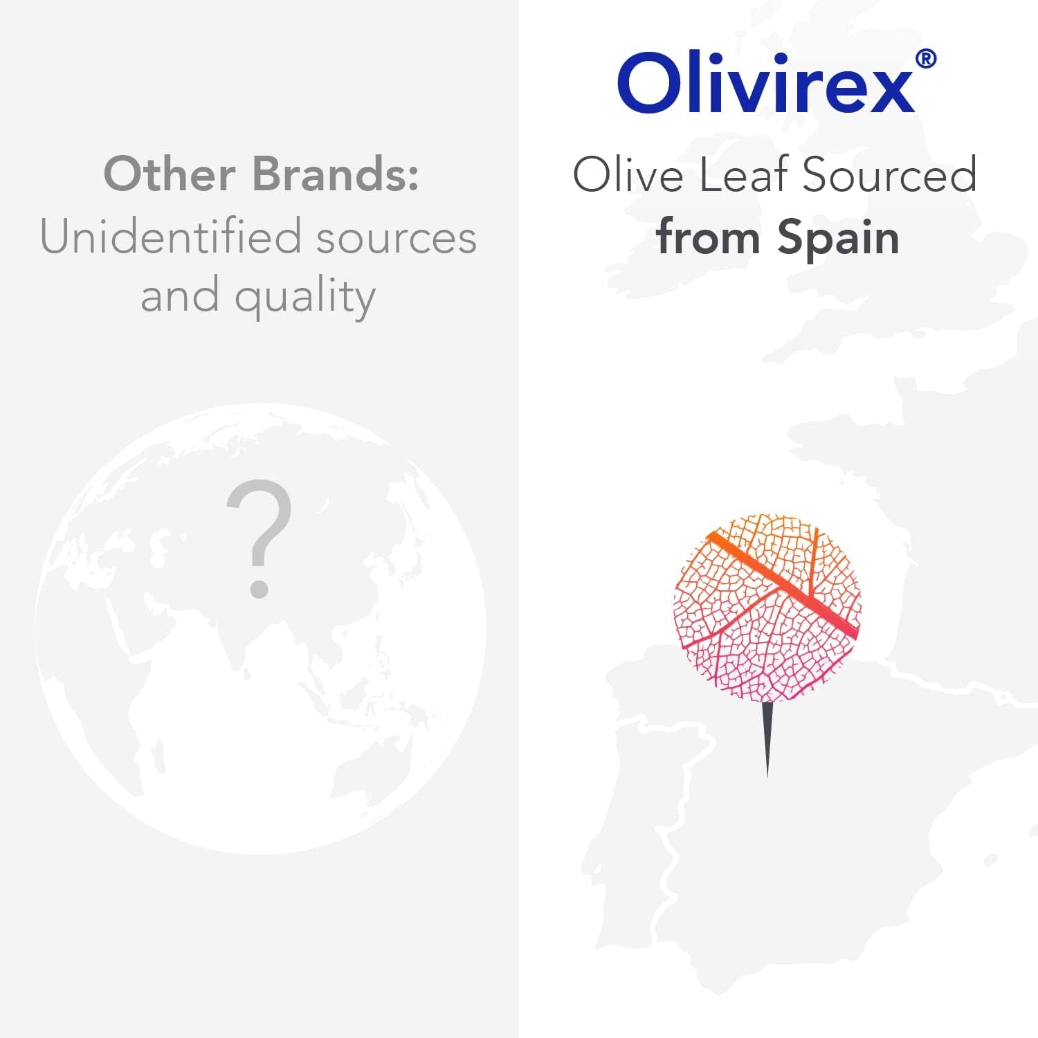 Olivirex High Potency Olive Leaf Combination by Biocidin - Immune Support Supplement (60Ct)