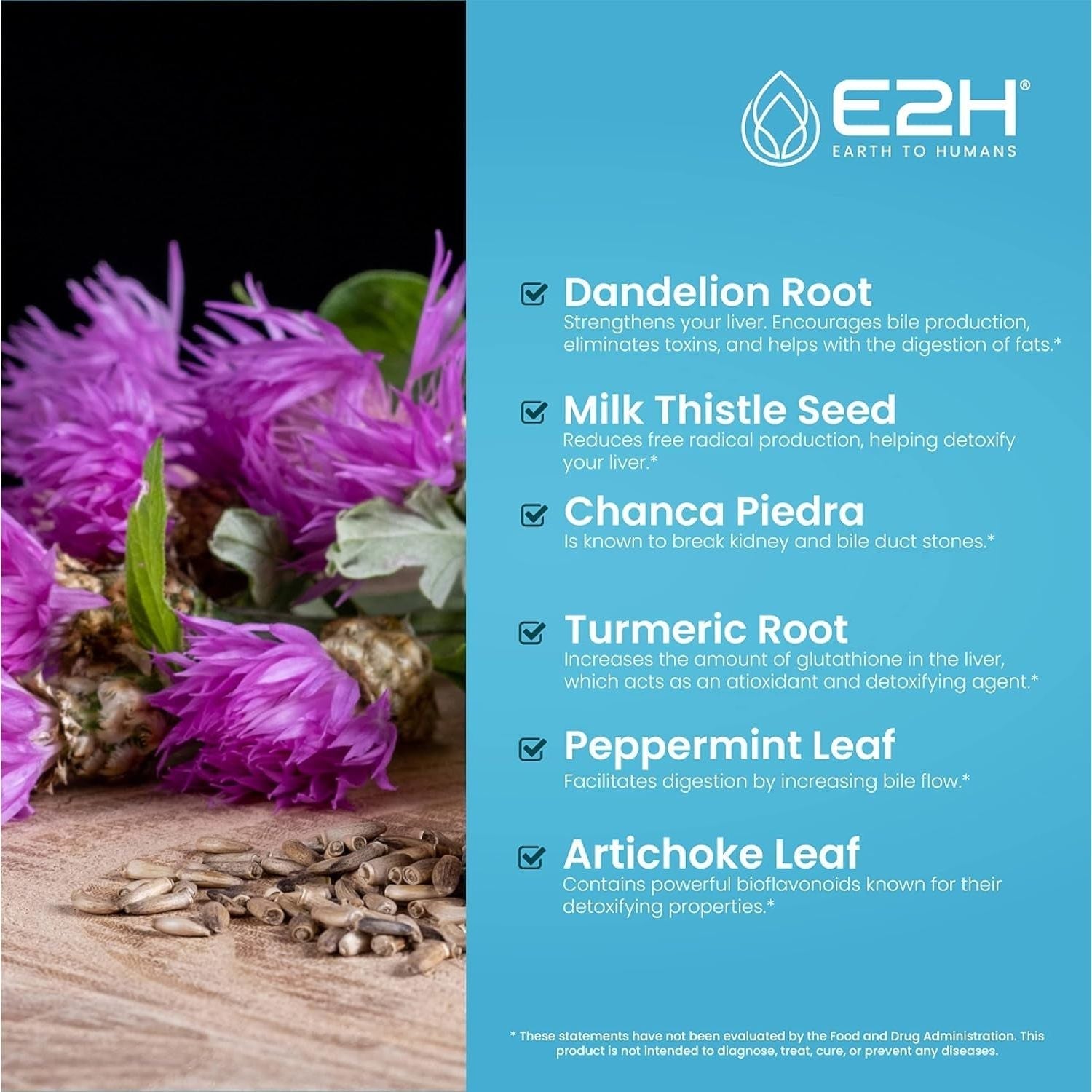 Milk Thistle Extract for Liver Cleanse Detox & Repair - 2 Fl Oz by E2H