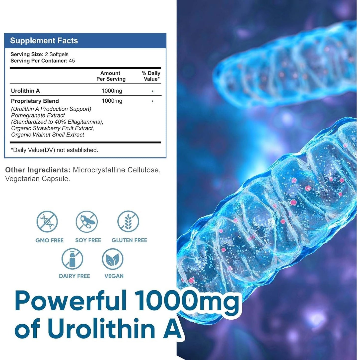 1000 MG Urolithin a Supplement for Healthy Aging and Mitochondrial Support, Cell Repair 90 Softgels