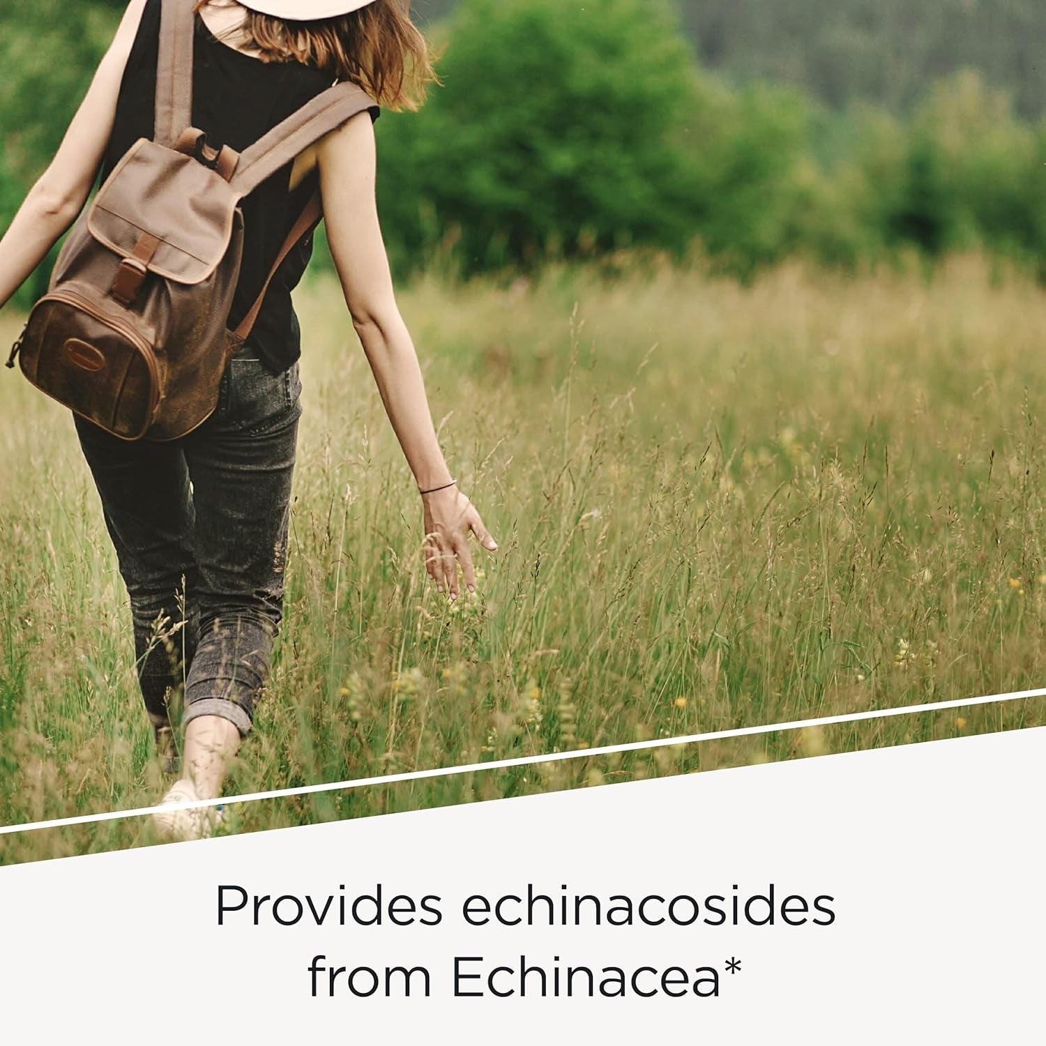 Integrative Therapeutics - EHB (Echinacosides, Hydrastine, Berberine) - Immune Supporting Nutrients* - 60 Capsules