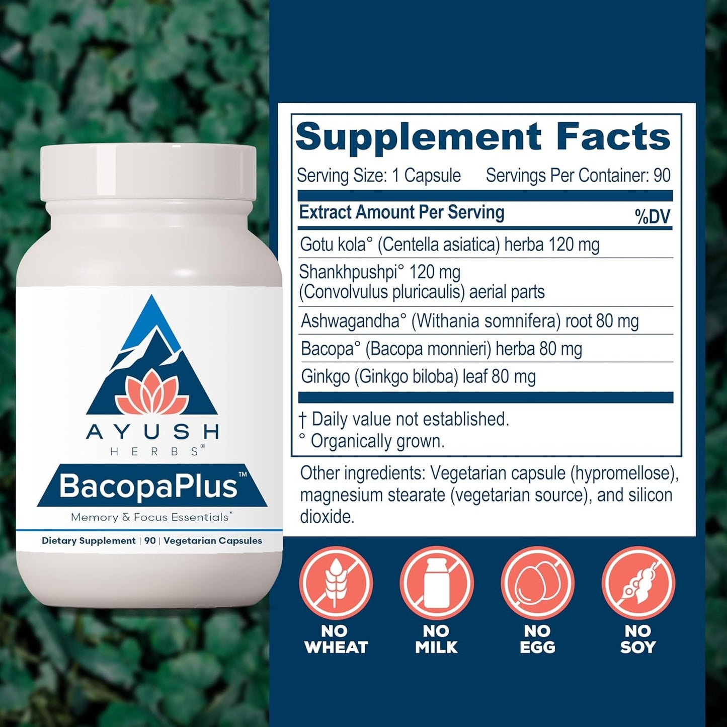 Ayush Herbs Bacopaplus - Bacopa Supplements, Organic Bacopa for Memory & Focus, Cognitive Support Pill 90 Capsules