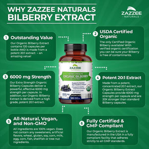 Zazzee USDA Organic Bilberry 20:1 Extract, 6000 Mg, 120 Vegan Capsules