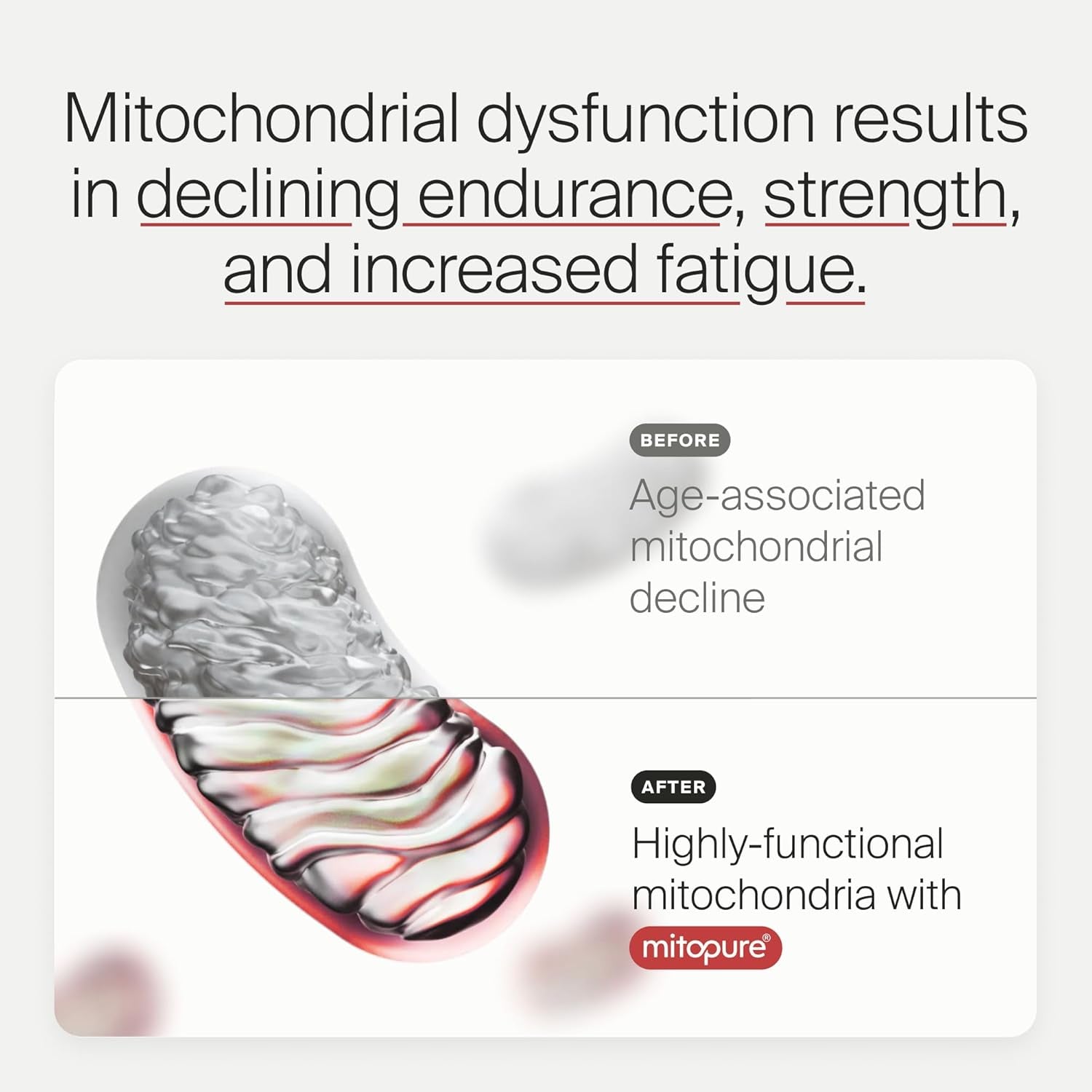 Timeline Mitopure Urolithin a | for Healthy Aging and Cellular Renewal 60 Softgels