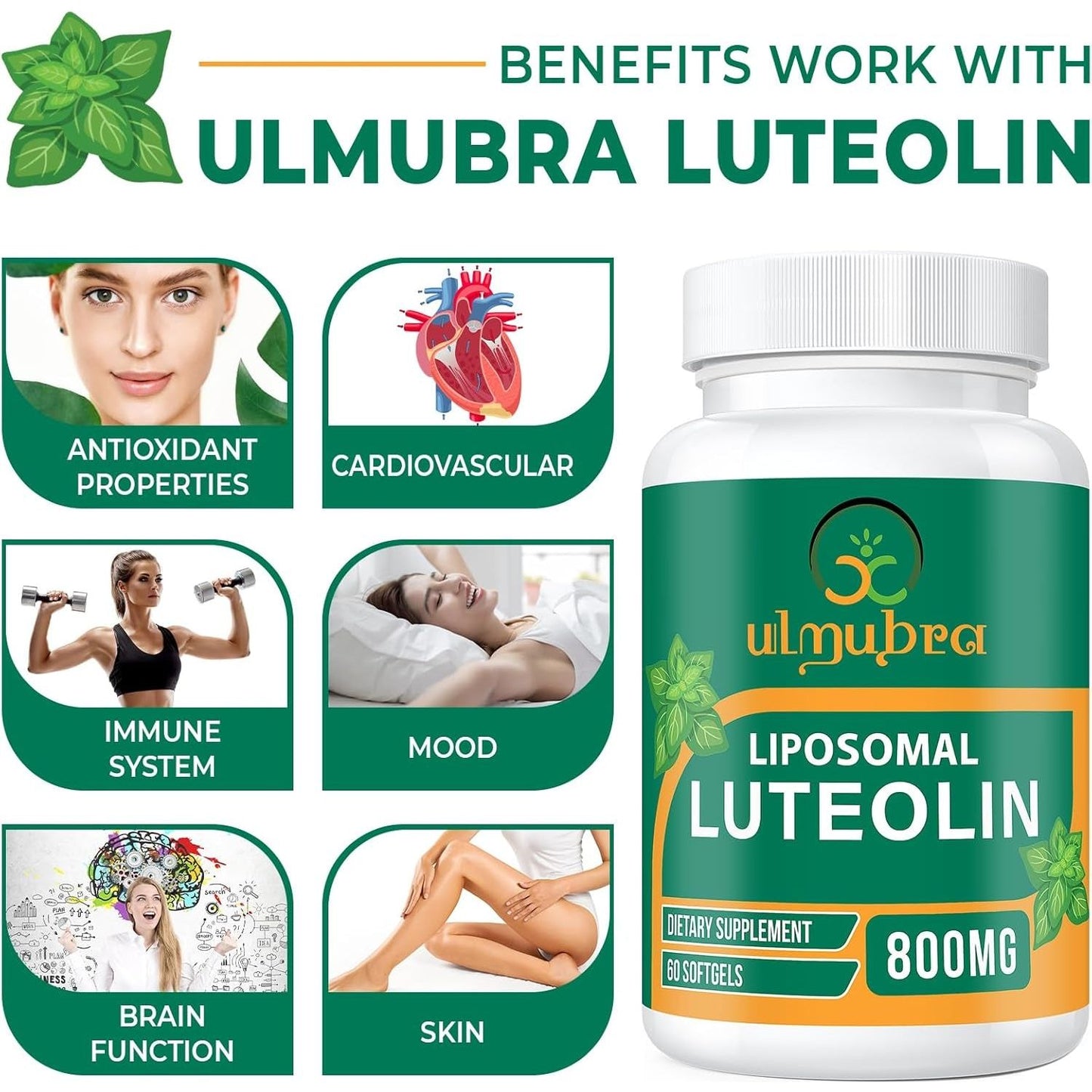 800 MG Liposomal Luteolin Supplement - Premium Antioxidant Supplement for Brain & Overall Well-Being 60 Softgels
