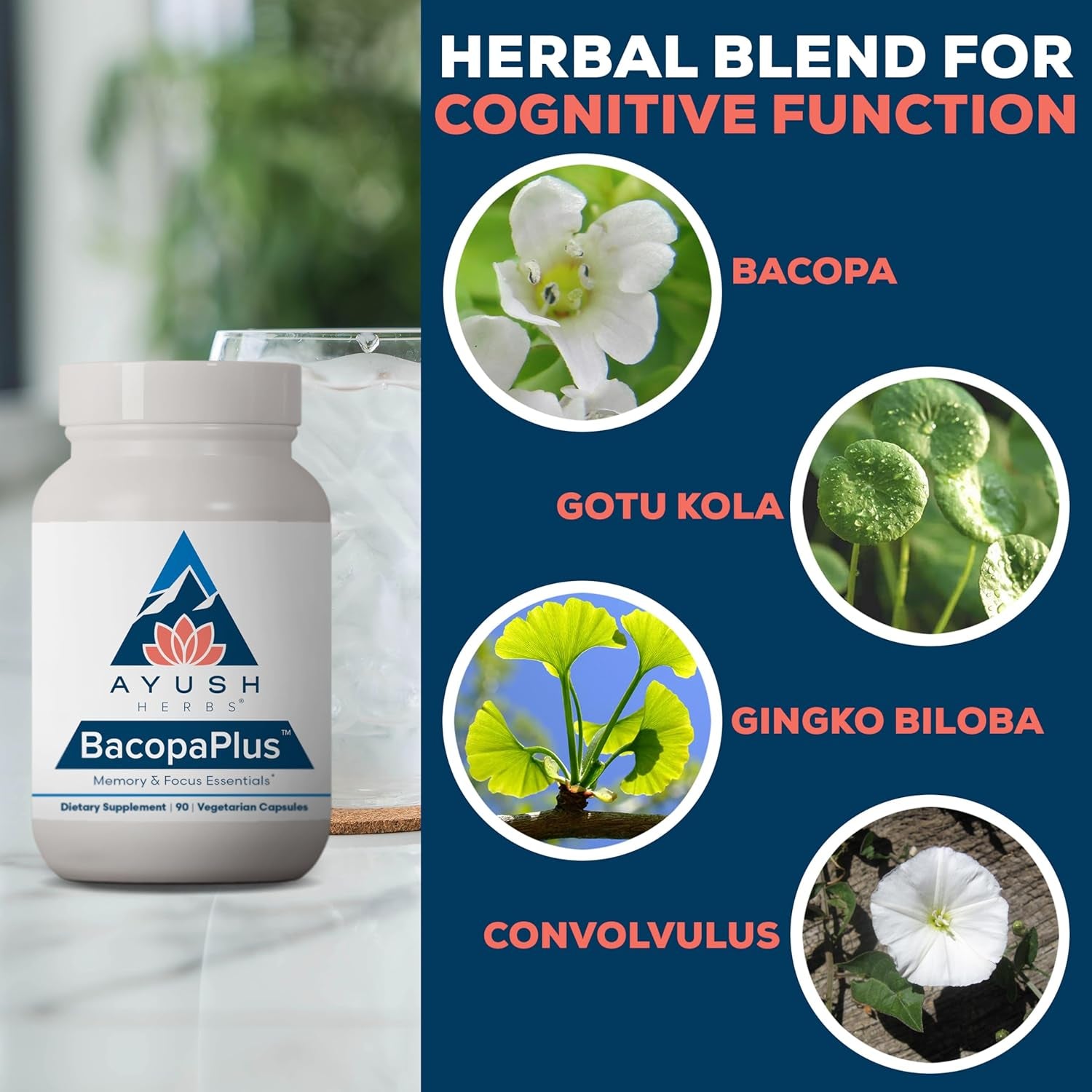 Ayush Herbs Bacopaplus - Bacopa Supplements, Organic Bacopa for Memory & Focus, Cognitive Support Pill 90 Capsules