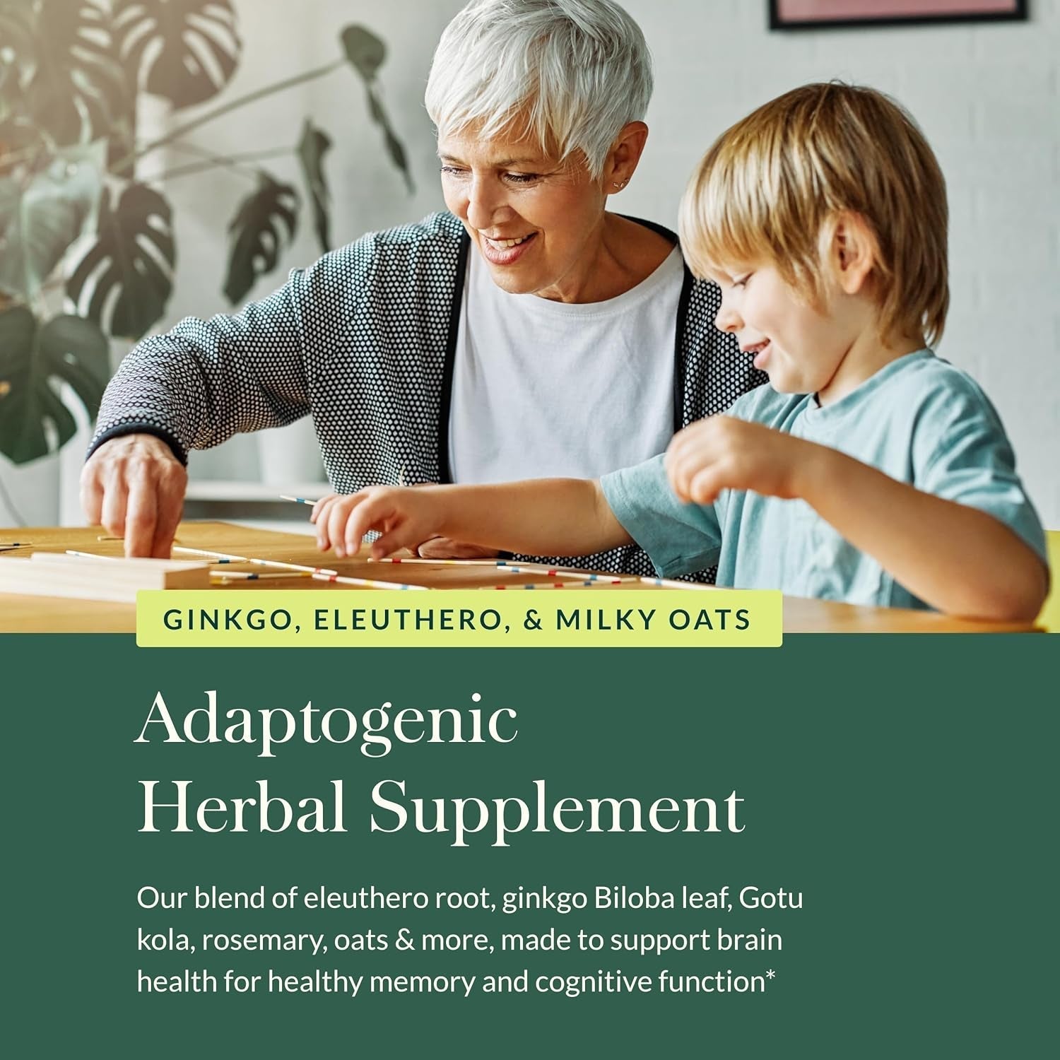 Gaia Herbs Mental Alertness - Brain Support Supplement to Help Maintain Focus & Memory* 60 Capsules