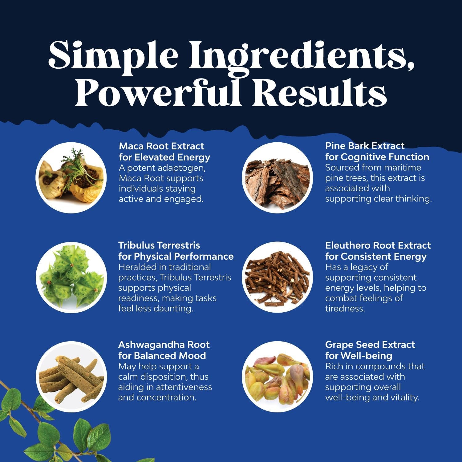 Potent Black Maca Root Capsules for Men to Support General Health (30 Servings)