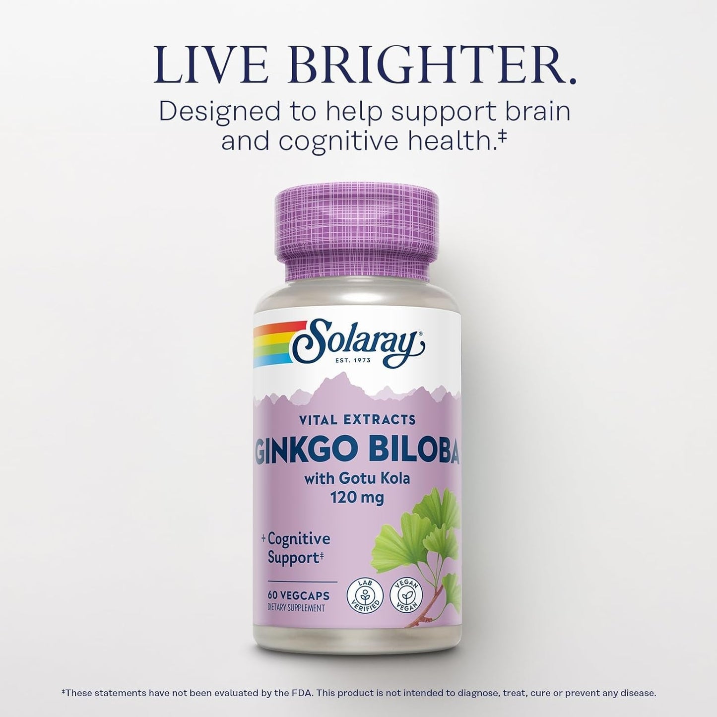 SOLARAY Ginkgo Biloba Extract with Gotu Kola - Ginko Biloba Capsules for Brain Health Support  60 Servings