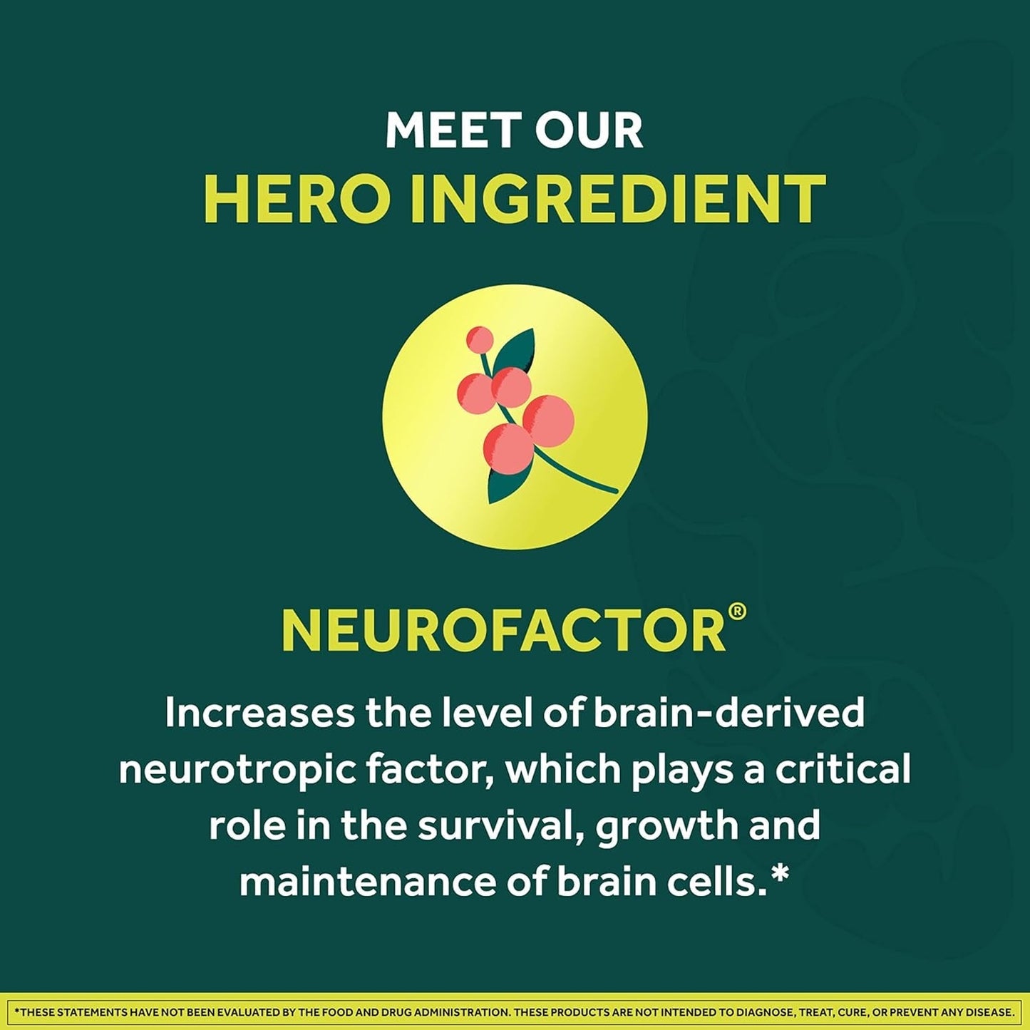 NEURIVA Brain + Energy Gummies, Nootropic Brain Supplements for Focus and Concentration 75 Count