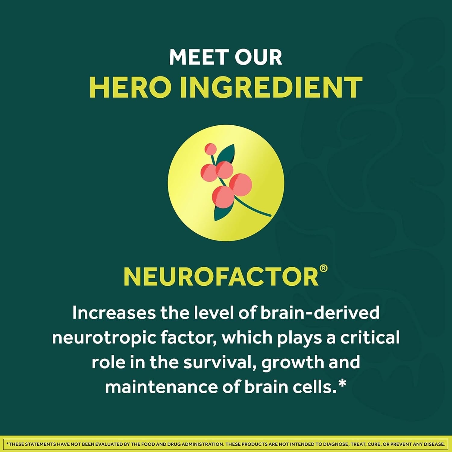 NEURIVA Brain + Energy Gummies, Nootropic Brain Supplements for Focus and Concentration 75 Count