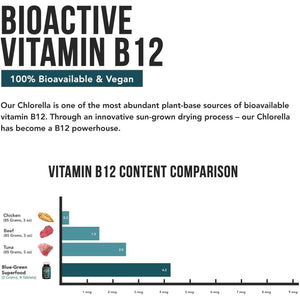 Organic Spirulina & Chlorella Tablets – 4 Organic Certifications, Raw, Non-Irradiated – 50/50 Blue Green Algae Blend – Antioxidant Content Equal to 5 Servings of Vegetables (120 Tablets)