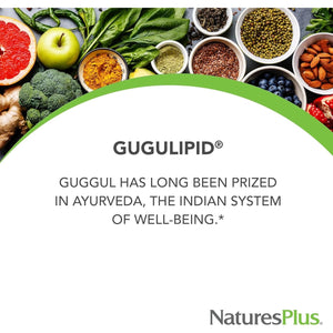 Natures plus Herbal Actives Gugulipid, Extended Release- 1000 Mg, 2.5% Guggulsterones - 30 Servings