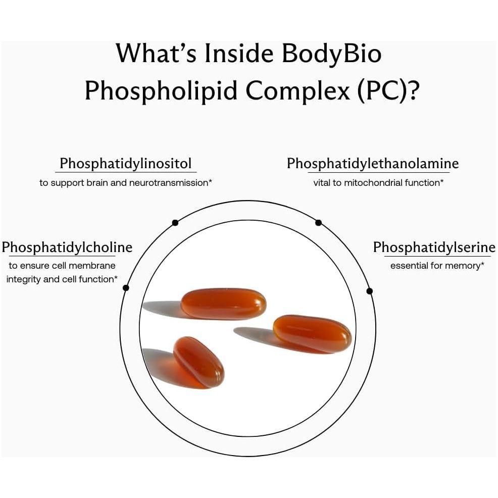 Bodybio PC - Brain Supplement for Memory, Focus and Clarity - Liposomal for Optimal Absorption 300 Softgels