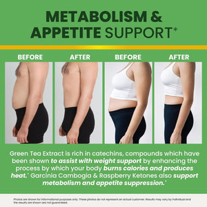 Nobi Nutrition Green Tea Fat Burner Gummies for Weight Loss